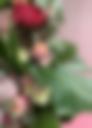 Blumeninstallation Nivea Details 02